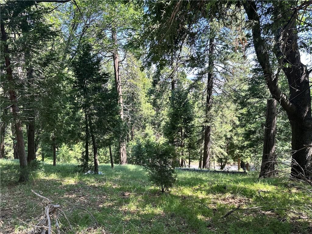 MLS #IV25124751 image #0