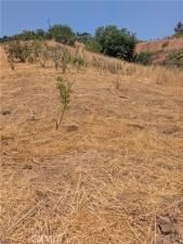 MLS #IV25149285 image #0