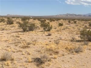 MLS #IV25154257 image #0