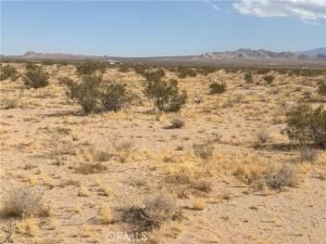 MLS #IV25154257 image #0