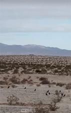 MLS #IV25154810 image #0