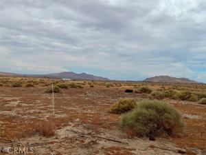 MLS #IV25171103 image #0