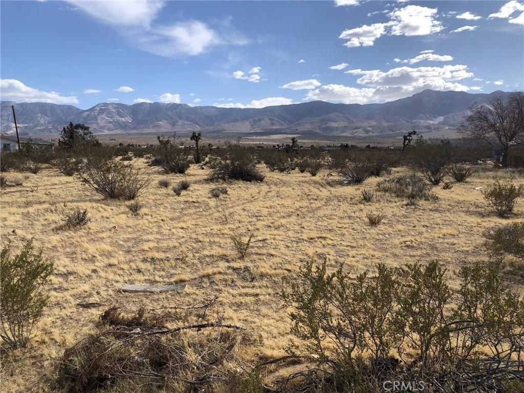 MLS #IV25178564 image #0