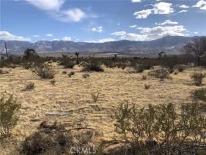 MLS #IV25178564 image #0