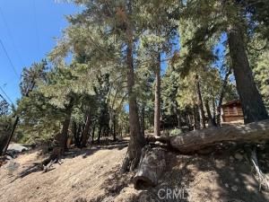 MLS #IV25185386 image #0