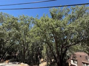 MLS #IV25185644 image #0