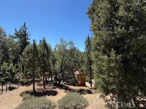 Piedras Grande Lot 58 Green Valley Lake CA 92341 | MLS #IV25186085 45 MLS #IV25186085 image #0