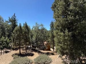 MLS #IV25186085 image #0