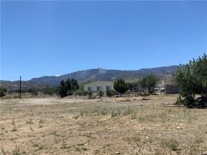 MLS #IV25193984 image #0