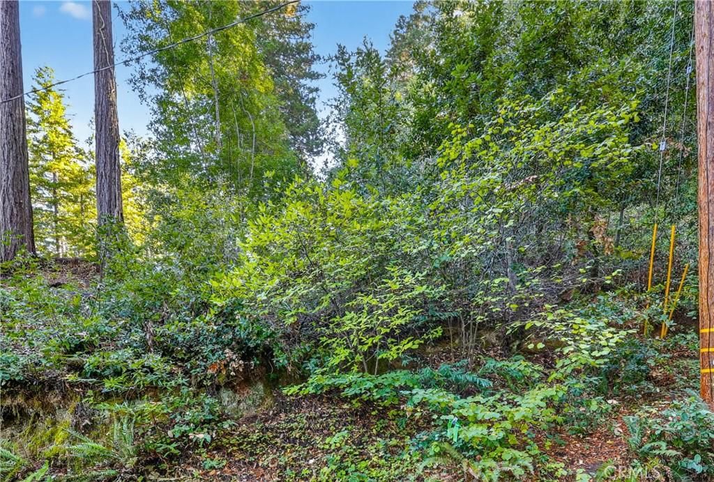 MLS #IV25238312 image #0