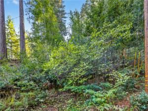 MLS #IV25238312 image #0