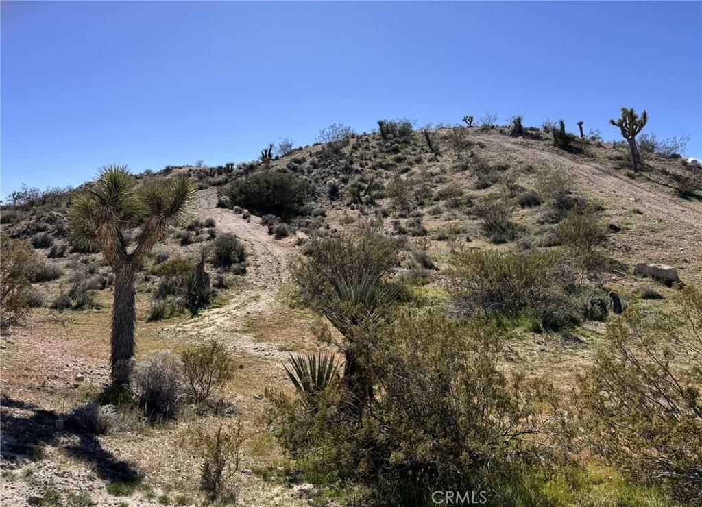 Hilton Lot 16 Yucca Valley CA 92284 | MLS #IV25239042 45 MLS #IV25239042 image #0