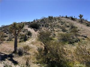 MLS #IV25239042 image #0