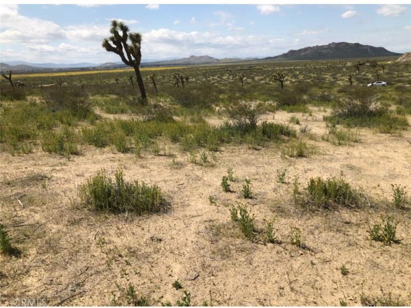 MLS #IV25243480 image #0