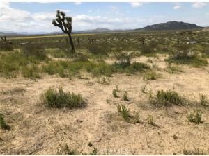 MLS #IV25243480 image #0