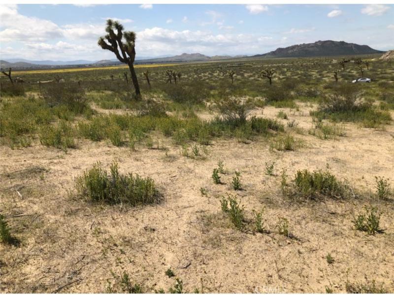 MLS #IV25243480 image #0