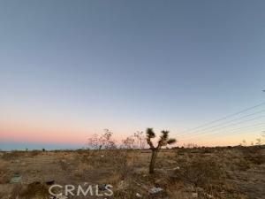 MLS #IV25246404 image #0