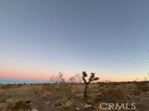 MLS #IV25246404 image #0