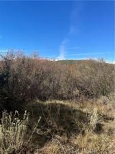 MLS #IV25247158 image #0