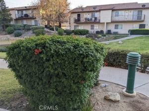 MLS #IV25250157 image #0