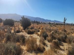 MLS #IV25251905 image #0