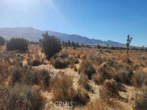 MLS #IV25251905 image #0