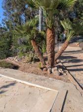 MLS #IV25252255 image #0