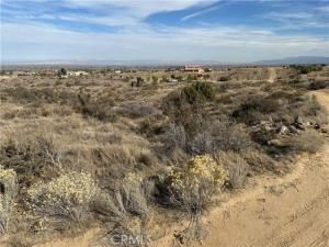 MLS #IV25256430 image #0