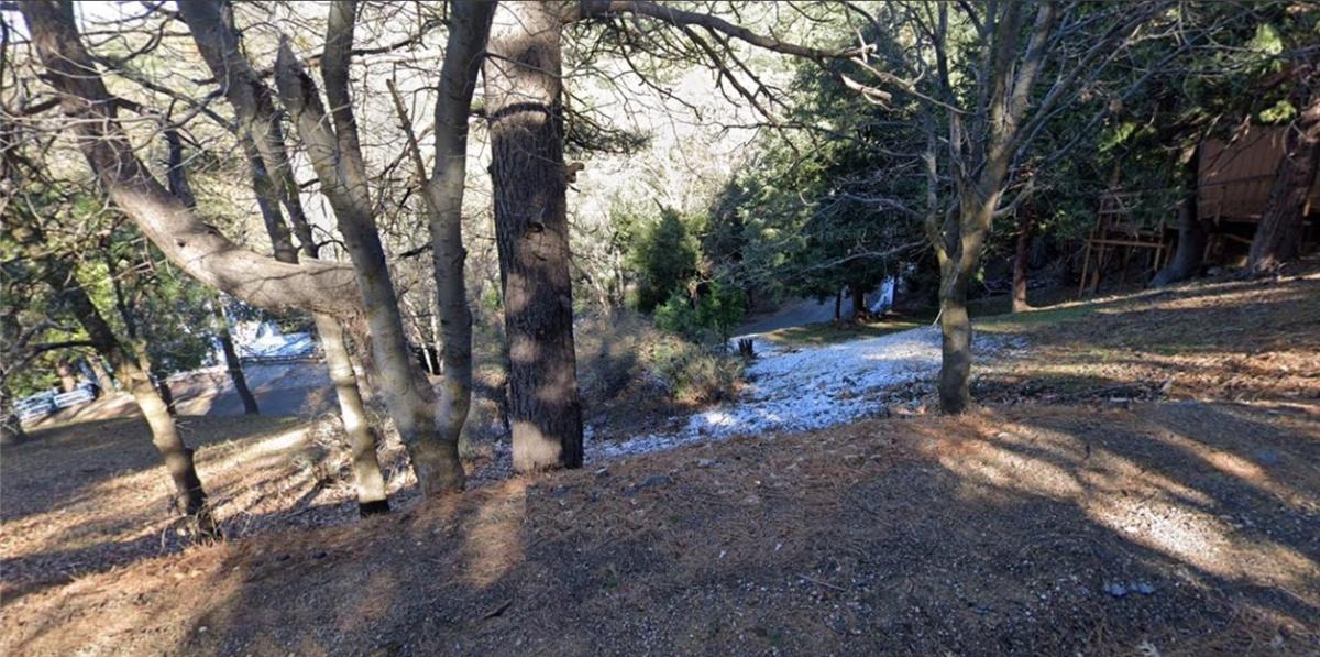 MLS #IV25256844 image #0