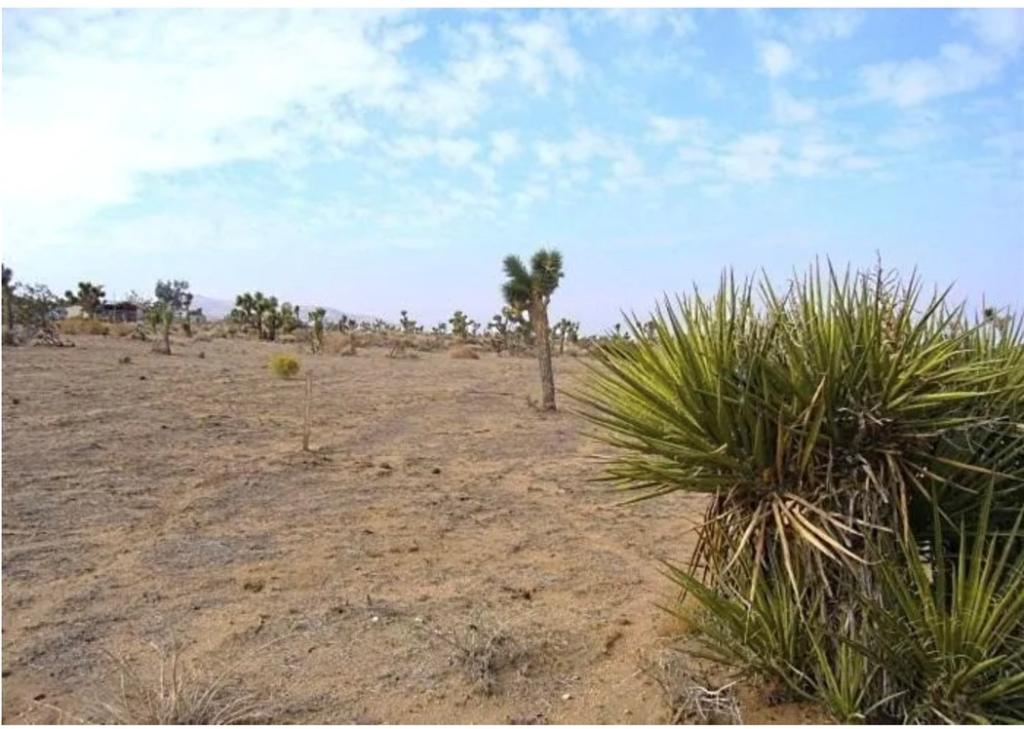 MLS #IV25260338 image #0