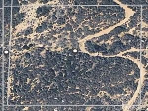 MLS #IV26036021 image #0