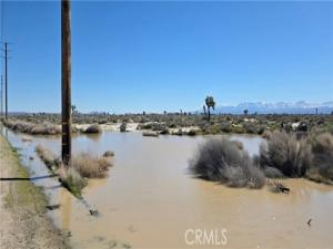 MLS #IV26041126 image #0