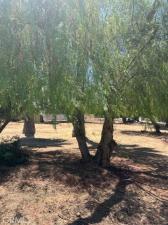 MLS #IV26061237 image #0