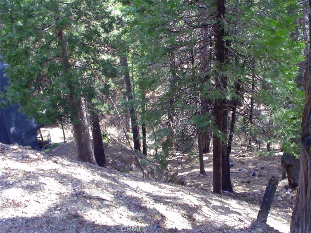 MLS #IV26062268 image #0