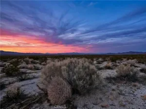 broker reciprocity