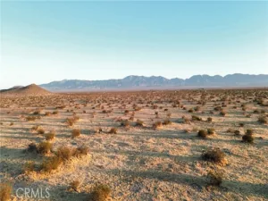broker reciprocity