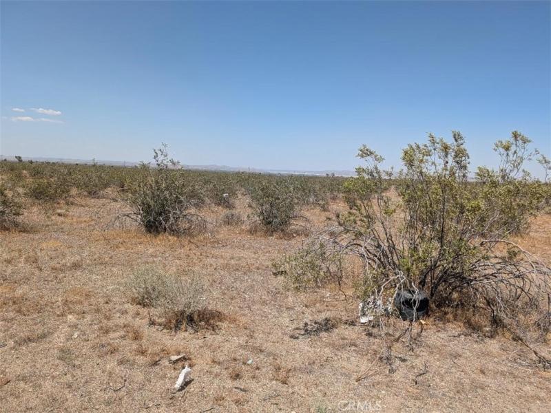 MLS #IV26112660 image #0