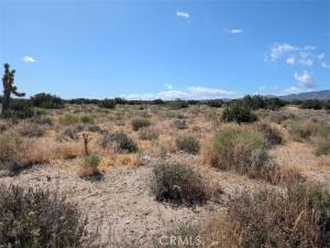 MLS #IV26114173 image #0