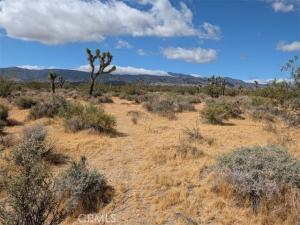 27 248th Llano CA 93544 | MLS #IV26114259 45 MLS #IV26114259 image #0