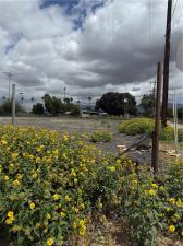 MLS #IV26116158 image #0