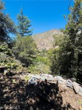 MLS #IV26146565 image #0