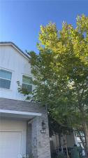 MLS #IV26154159 image #0