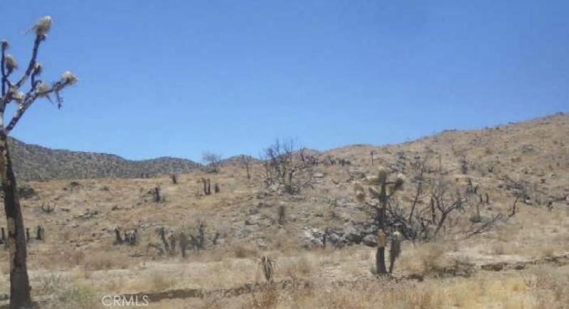 MLS #IV26155619 image #0