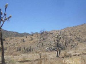 N of Elata Avenue Yucca Valley CA 92284 | MLS #IV26155619 45 MLS #IV26155619 image #0