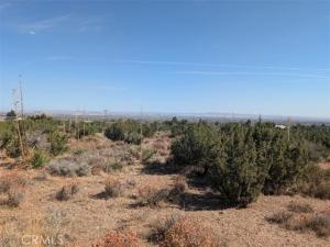 MLS #IV26161967 image #0