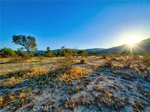 broker reciprocity