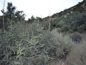 MLS #IV26214510 image #0