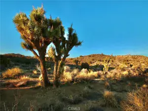 broker reciprocity