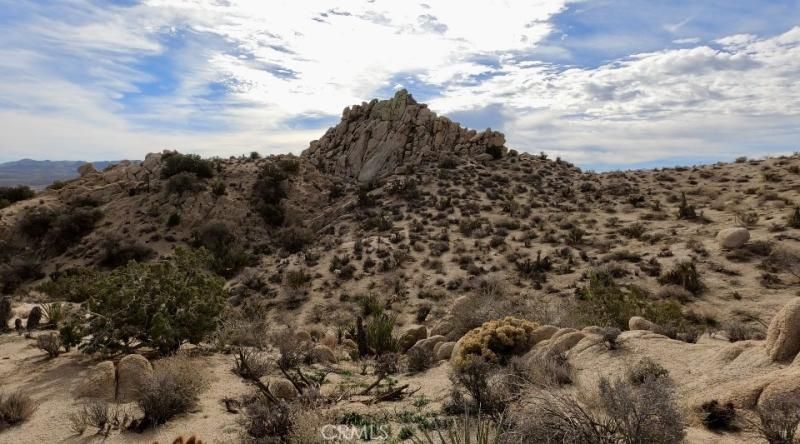 MLS #JT22259688 image #0