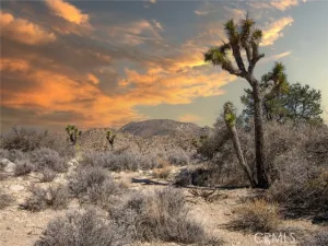 broker reciprocity